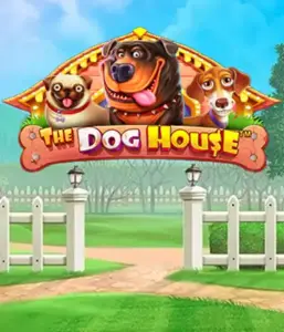 Pragmatic Play's The Dog House adventure, offering a fun-filled adventure through playful pups. Engage in features such as free spins, perfect for delivering joyful moments. Perfect for those who enjoy a cheerful atmosphere with a chance for big wins.