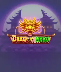 Enter a fantastic quest with Dragon Hero Slot by Pragmatic Play, highlighting stunning graphics of ancient dragons and heroic battles. Discover a land where fantasy meets excitement, with featuring treasures, mystical creatures, and enchanted weapons for a captivating gaming experience.